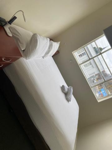 Knickerbocker Hotel Bathurst Luaran gambar